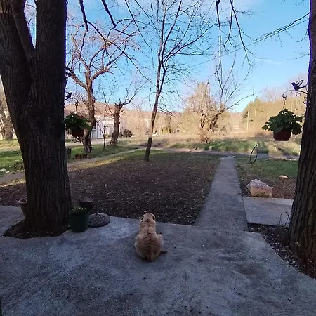 Apartmán Vikendica Aki Zaječar